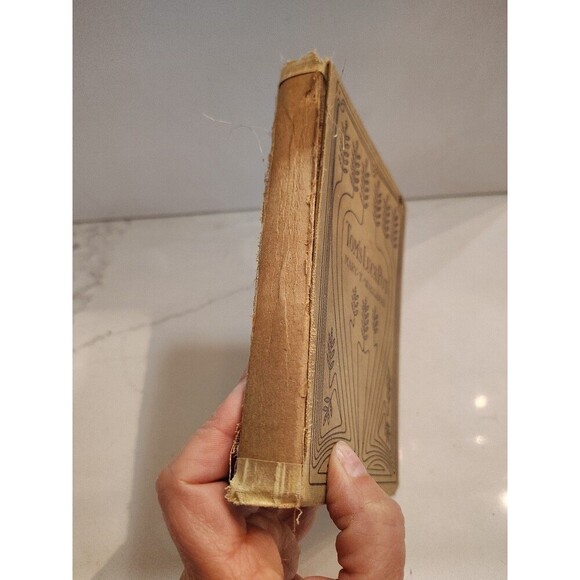 Extremely rare 1897 Antique  book Tim's Luck Pot Mary T Waggaman First Edition - Picture 9 of 10